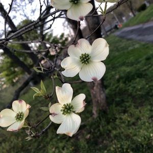 Meet your Posher, Maibritt